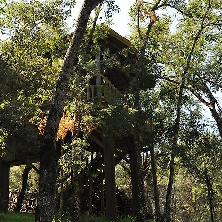 Los Nidos De Santa Maria Arroyo Frio Εξωτερικό φωτογραφία